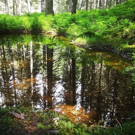 Claudia 3 Lägenhet *