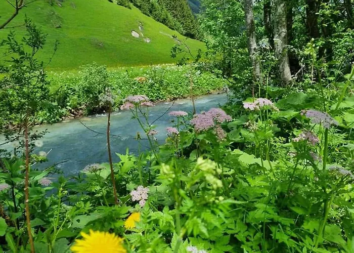 Claudia 3 Apartment *