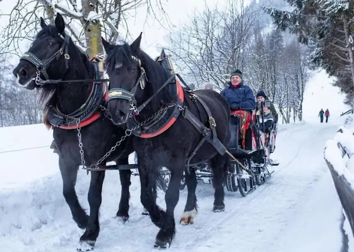 Claudia 3 Apartment Rauris