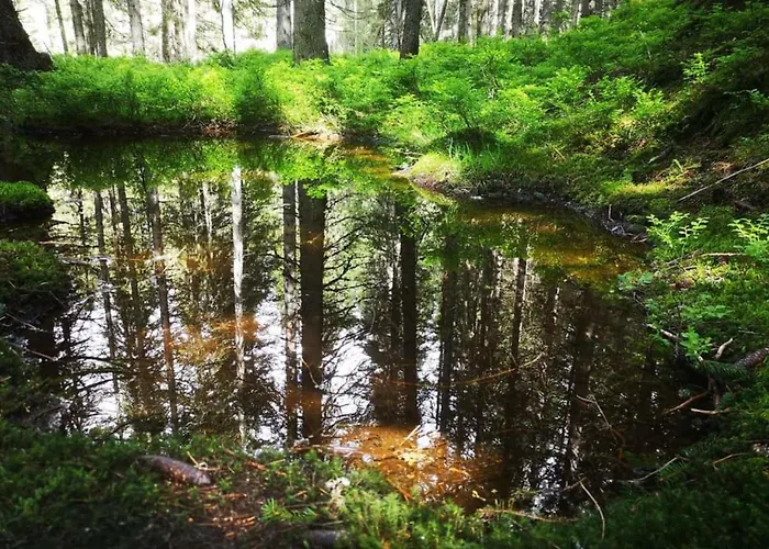 Claudia 3 Apartment *